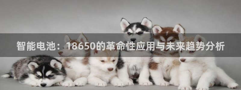 okpay钱包gopay哪个好