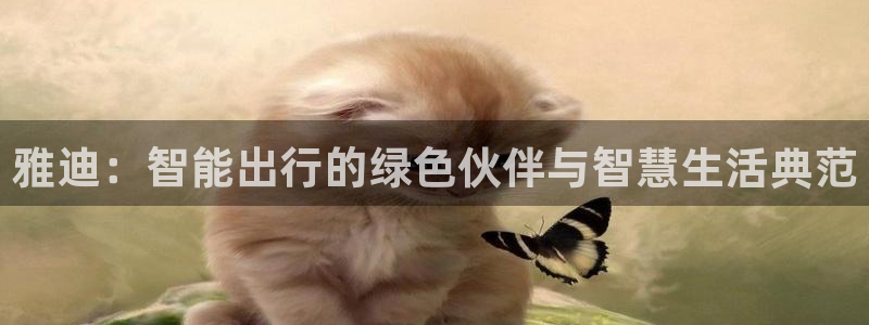 怎样下载okpay钱包