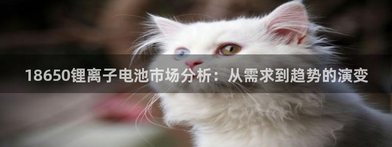 okpay钱包地址怎么查询：18650锂
