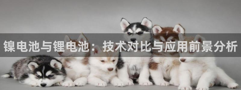 okpay钱包的方法