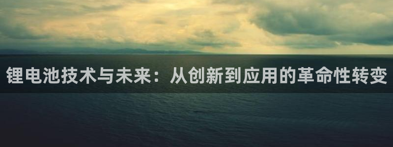 okpay钱包gopay哪个好：锂电池技
