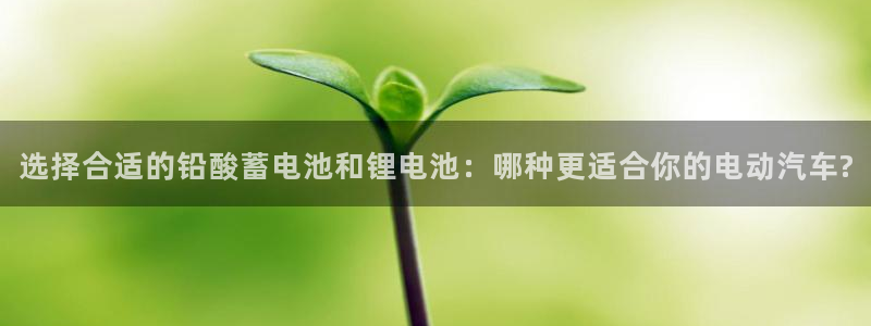 okpay钱包怎么充值：选择合适的铅酸蓄