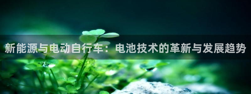 okpay钱包是什么：新能源与电动自行车：电池技术的革新与发展趋势