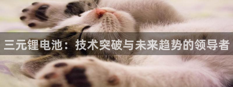okpay是什么钱包：三元锂电池：技术突破与未来趋势的领导者