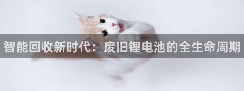 okpay钱包地址在哪里：智能回收新时代