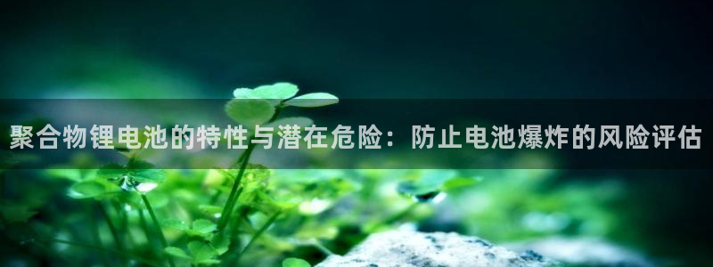 okpay钱包安全可靠吗：聚合物锂电池的