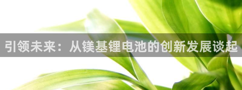 okpay钱包官网入口