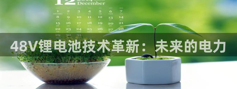 okpay钱包旧版本