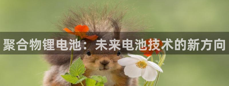 okpay钱包倒闭了没