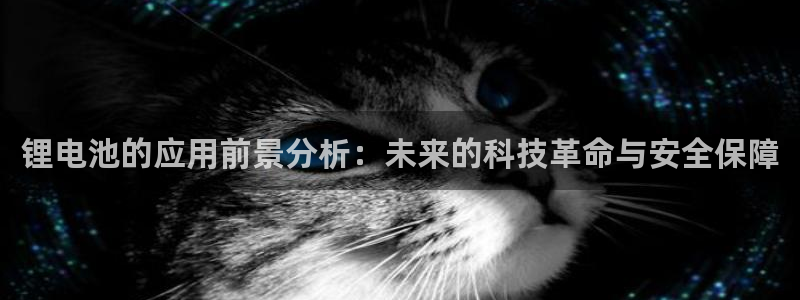 okpay钱包安全吗